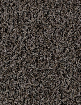 Carpet tiles Coral Click