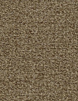 Coral Classic Carpet